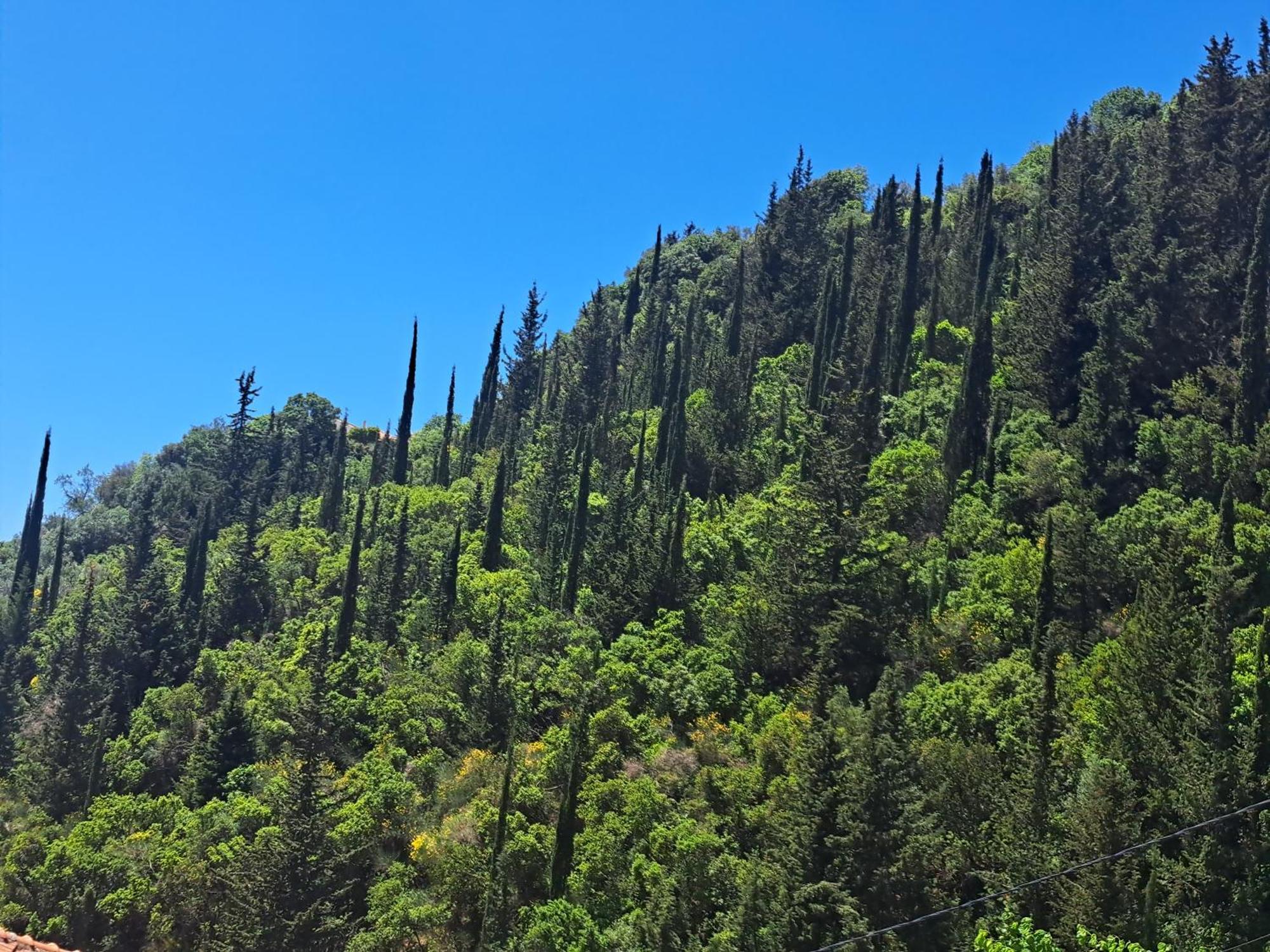 Sogno 2 Villa Parga Dış mekan fotoğraf